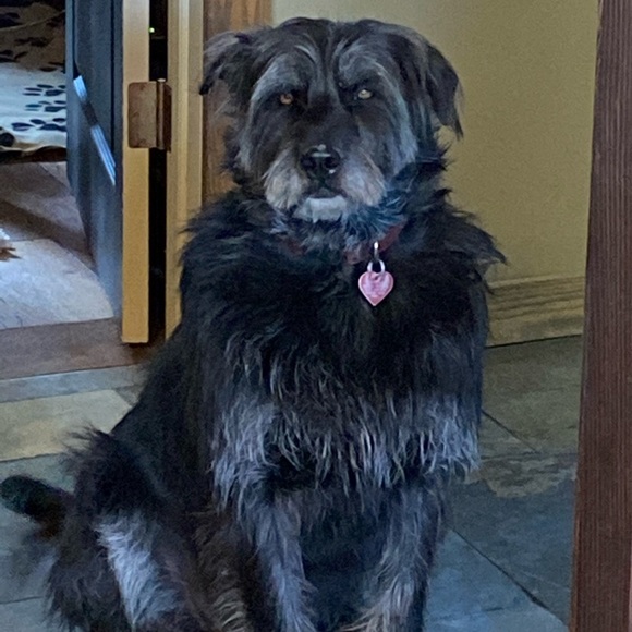 Meet your Posher, Randy - Picture 1 of 1